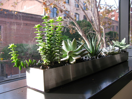 Window Box